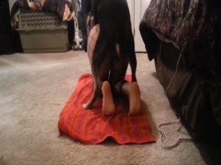 Dog digging orgy a woman