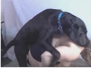 Dog streaming fucking hard woman 