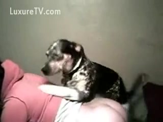 So Cute Babe Dog Fuck Litte Girl  