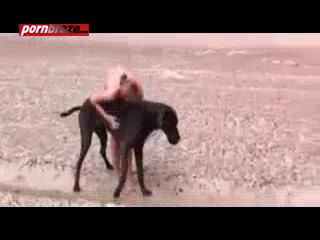 Public Sex Animal Porn Video