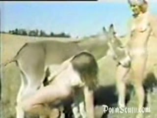 Animal sex - Animal porn public