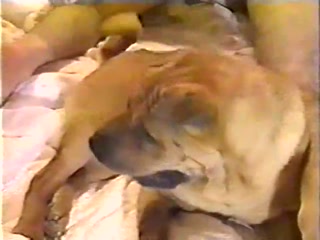 Blonde girl public sex dog