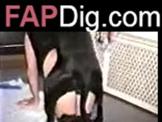 Black Dog HAs Fucking Woman