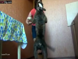 Maybe she's bored with her boyfriend! want to try feeling like having sex with a dog