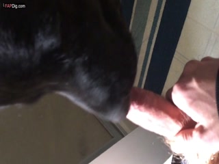 goat suck dick human