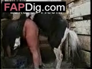 Big Horse Fucking ass human