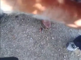 maduro me folla en aparcamiento oldman fuck parking