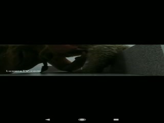 Girl sucking dog penis