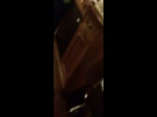 BEARS IN HAVE FUN HOTEL