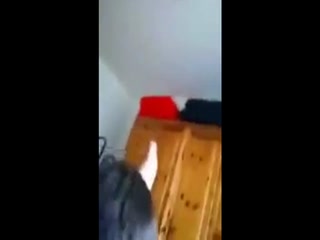 Twinks first good blowjob